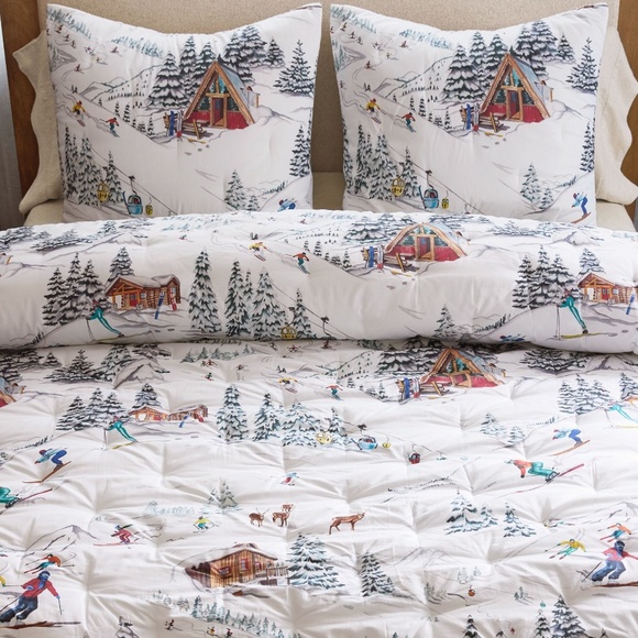 Pottery Barn Other - Whistler Run Euro Sham - Pottery Barn